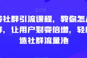 玩转社群引流课程,教你怎么玩社群,让用户裂变倍增,轻松打造社群流量池-麦资源网