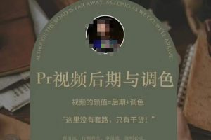 Pr视频后期与调色，视频颜值=后期+调色，这里没有套路，只有干货！-麦资源网