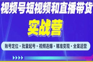 2023最新微信视频号引流和变现全套运营实战课程，小白也能玩转视频号短视频和直播运营-麦资源网