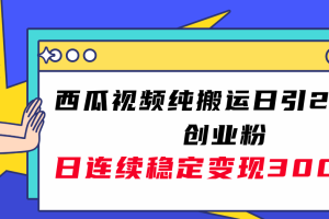 （7872期）西瓜视频纯搬运日引200+创业粉，日连续变现3000+实操教程！-麦资源网