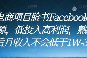 跨境电商项目脸书Facebook商城无货源，低投入高利润，熟练操作后月收入不会低于1W-3W-麦资源网
