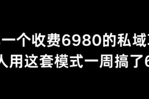 分享一个外面卖6980的私域项目三个人用这套模式一周搞了6万多【揭秘】-麦资源网