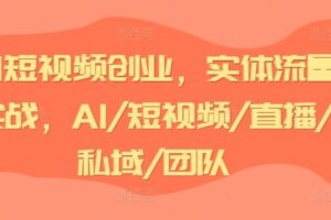 AI短视频创业，实体流量实战，AI/短视频/直播/私域/团队-麦资源网