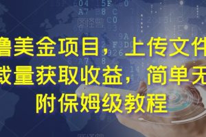 最新撸美金项目，上传文件，通过下载量获取收益，简单无脑，附保姆级教程【揭秘】-麦资源网