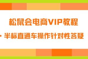 松鼠会电商VIP教程：松鼠《付费推广标品·半标直通车操作针对性答疑&诊断》-麦资源网