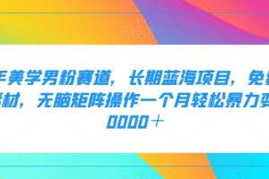 二手美学男粉赛道，长期蓝海项目，无脑矩阵操作一个月轻松暴力变现20000＋-麦资源网