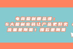 （6954期）电商 盈利精品课：6大盈利 密码让产品更好卖，流量是刚需！爆款是刚需-麦资源网