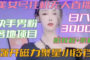 快手男粉落地项目，美女号挂机无人直播，强开磁力聚星小铃铛，日入3000+【附教程和美女素材】【揭秘】-麦资源网