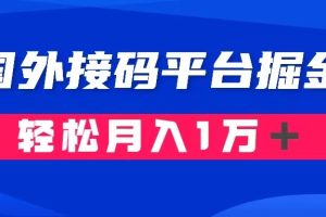 通过国外接码平台掘金： 成本1.3，利润10＋，轻松月入1万＋-麦资源网