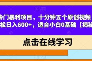 冷门暴利项目，十分钟五个原创视频，轻松日入600+，适合小白0基础【揭秘】-麦资源网