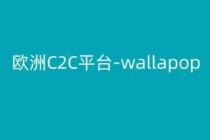 欧洲C2C平台-wallapop-kim跨境电商教程-麦资源网