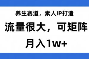 #原创                                                                                                 养生赛道，素人IP打造，流量很大，可矩阵，月入1w+【揭秘】-麦资源网
