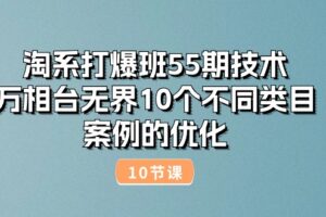 （10996期）淘系打爆班55期技术：万相台无界10个不同类目案例的优化（10节）-麦资源网