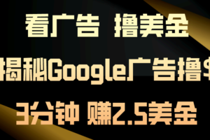 （10912期）看广告，撸美金！3分钟赚2.5美金！日入200美金不是梦！揭秘Google广告…-麦资源网
