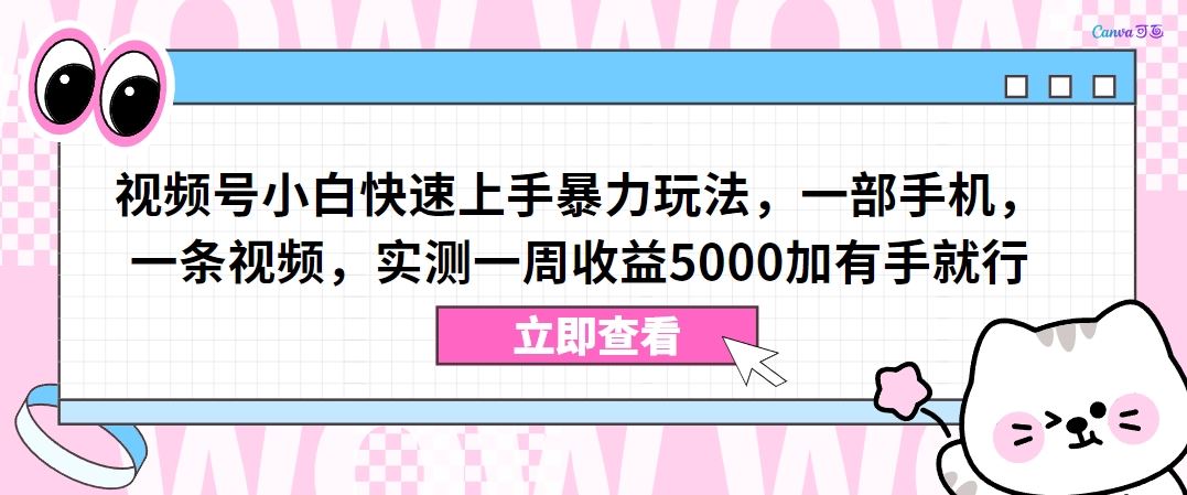 视频号小白快速上手*玩法，一部手机，一条视频，实测一周收益5000加有手就行【揭秘】