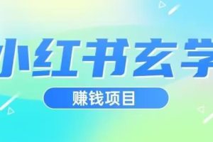 小红书玄学项目，直接上手操作，日入500【揭秘】-麦资源网