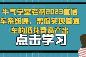 牛气学堂老衲2023直通车系统课，帮你实现直通车的低花费高产出-麦资源网