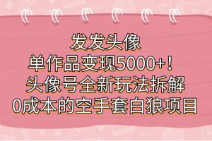 （7167期）发发头像，单作品变现5000+！头像号全新玩法拆解，0成本的空手套白狼项目-麦资源网