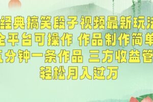 经典搞笑段子视频最新玩法，全平台可操作，作品制作简单，五分钟一条作品，三方收益管道【揭秘】-麦资源网