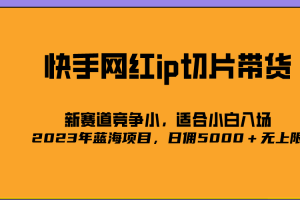 （5346期）2023爆火的快手网红IP切片，号称日佣5000＋的蓝海项目，二驴的独家授权-麦资源网