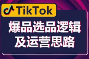 TikTok爆品选品逻辑及运营思路：解决网络环境快速入门TikTok-麦资源网