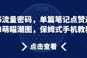 小红书流量密码，单篇笔记点赞过万，AI萌瞄潮图，保姆式手机教程【揭秘】-麦资源网