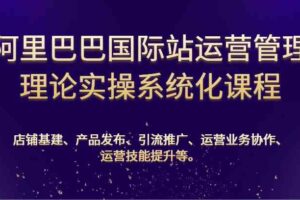 阿里巴巴国际站运营管理理论实操系统化课程：基建、发布、推广、协作、技能提升等-麦资源网