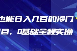 新手也能日入几百的冷门DIY项目，0基础全程实操【揭秘】-麦资源网