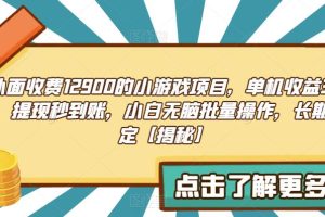 外面收费1290的小游戏项目，单机收益30+，提现秒到账，小白无脑批量操作，长期稳定【揭秘】-麦资源网