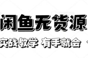 新手必看！实战闲鱼教程，看完有手就会做闲鱼无货源！【揭秘】-麦资源网