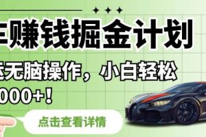 拍车赚钱掘金计划，纯搬运无脑操作，小白轻松日入1000+【揭秘】-麦资源网