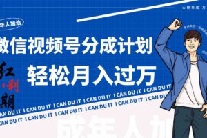 小白逆袭视频号分成计划红利期简创业让你轻松月入过万！-麦资源网