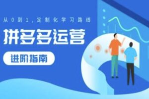 拼多多运营进阶指南，从0到1定制化学习路线-麦资源网