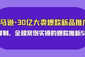 （9944期）亚马逊30亿·大卖爆款新品推广，可复制、全程案例实操的爆款推新SOP-麦资源网