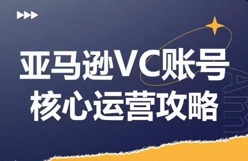 亚马逊VC账号*玩法解析，实战经验拆解产品模块运营技巧，提升店铺GMV，*提升运营利润