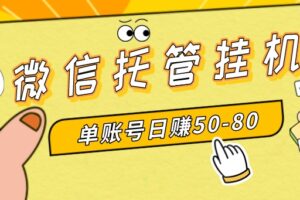 （8731期）微信托管挂机，单号日赚50-80，多号多撸，项目操作简单（附无限注册实名…-麦资源网