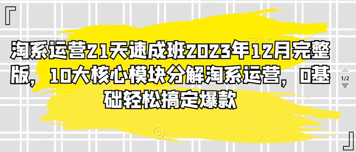 淘系运营21天速成班2023年12月完整版，10大*模块*淘系运营，0基础轻松搞定*