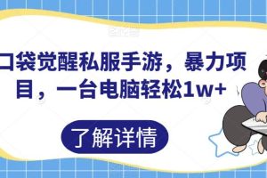 口袋觉醒私服手游，暴力项目，一台电脑轻松1w+【揭秘】-麦资源网