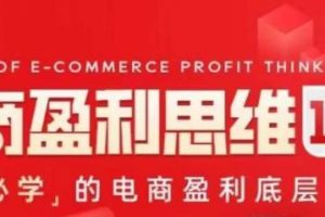 电商盈利思维10步曲，老板必学的电商盈利底层逻辑课-麦资源网