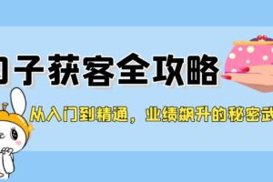 (12247期)从入门到精通,勾子获客全攻略,业绩飙升的秘密武器-麦资源网