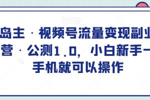 黄岛主·视频号流量变现副业训练营·公测1.0，小白新手一部手机就可以操作-麦资源网