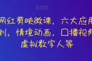 知识网红剪映微课，六大应用场景全学到，情境动画，囗播视频，AI虚拟数字人等-麦资源网