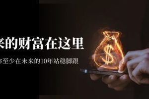 （7164期）某收费文章《未来的财富在这里》能让你至少在未来的10年站稳脚跟-麦资源网