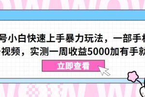 视频号小白快速上手暴力玩法，一部手机，一条视频，实测一周收益5000加有手就行【揭秘】-麦资源网