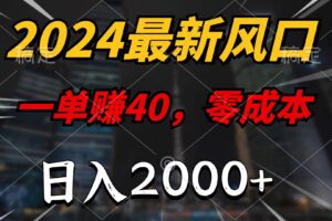 （11696期）2024最新风口项目，一单40，零成本，日入2000+，小白也能100%必赚-麦资源网