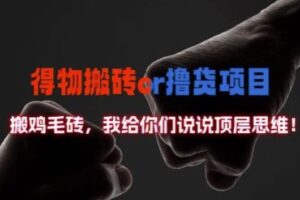 得物搬砖撸货项目?掰下数据，我给你们说说顶层思维【揭秘】-麦资源网
