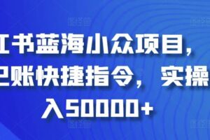 小红书蓝海小众项目，自动记账快捷指令，实操月入50000+【揭秘】-麦资源网