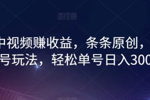 最新中视频赚收益，条条原创，暴力起号玩法，轻松单号日入300+【揭秘】-麦资源网
