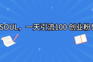（6965期）SOUL，一天引流100 创业粉！-麦资源网