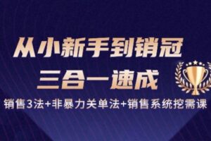从小新手到销冠 三合一速成：销售3法+非暴力关单法+销售系统挖需课 (27节)-麦资源网